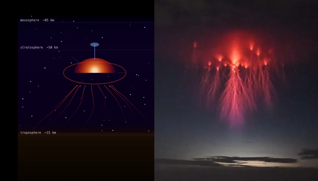 Preview image of the work "Atmospheric Jellyfish Sprite ⛈️: A stratospheric phenomenon literally - sim on the left, reality on the right"